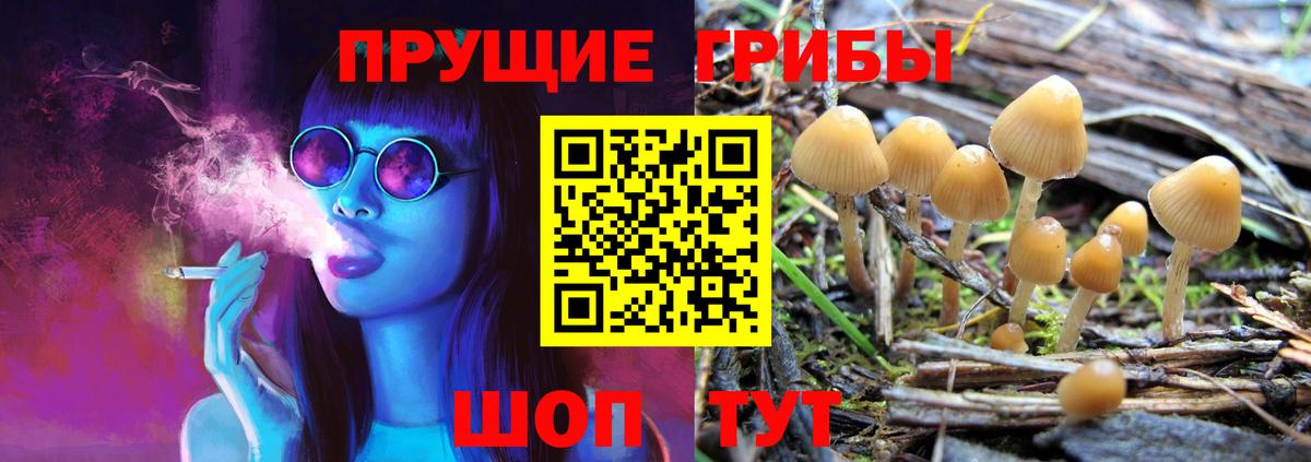 Галлюциногенные грибы мухоморы Гурьевск