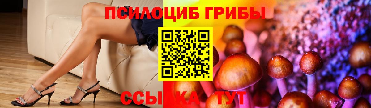 Псилоцибиновые грибы GOLDEN TEACHER  Гурьевск 